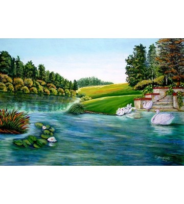 Il lago dei cigni